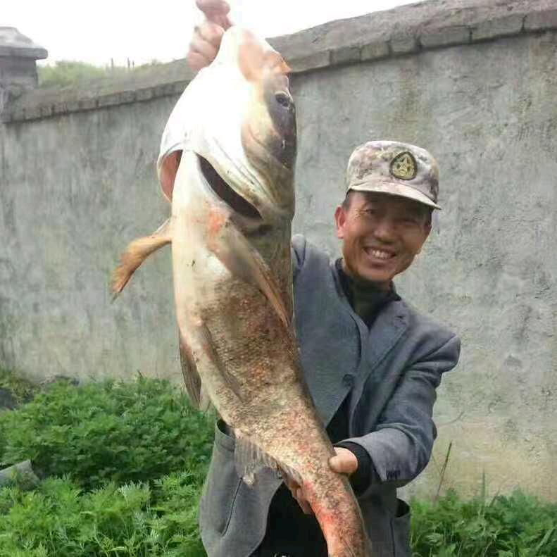 豆腐宰相傅畅军:兼游饭管理局长