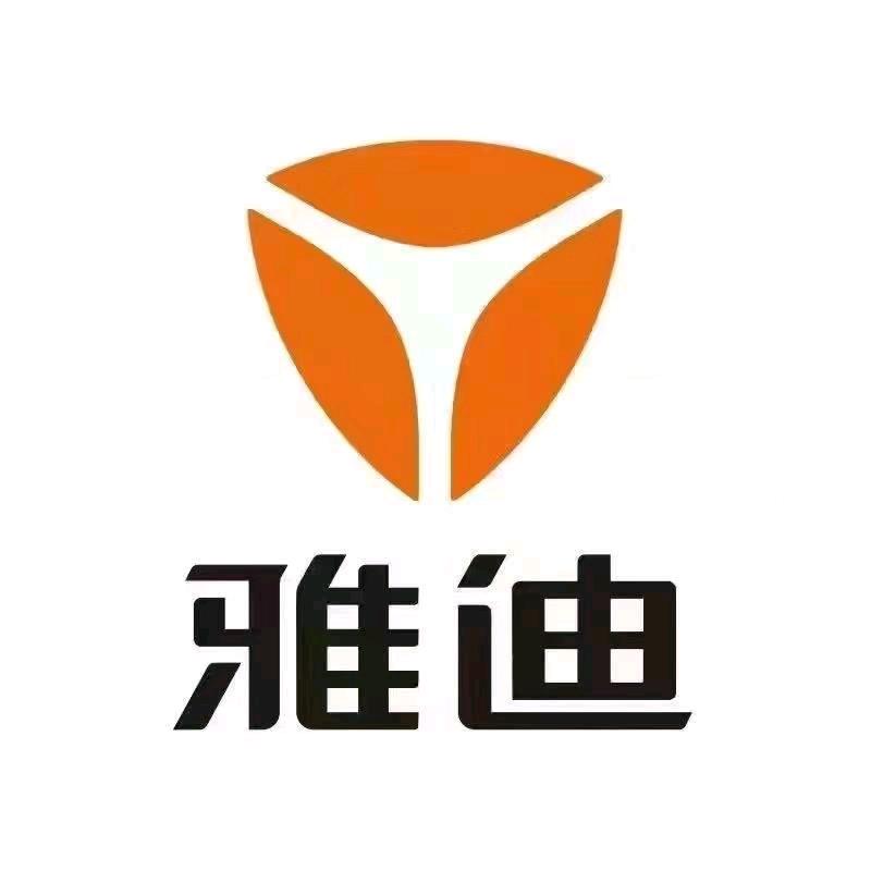庐江雅迪