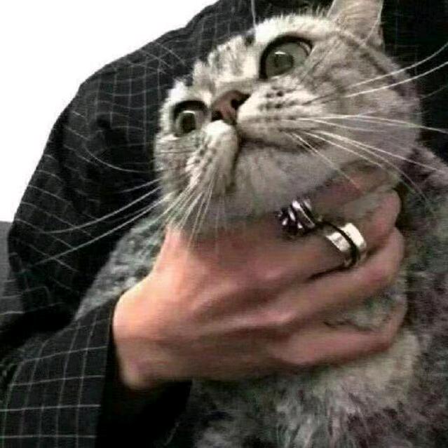 loo