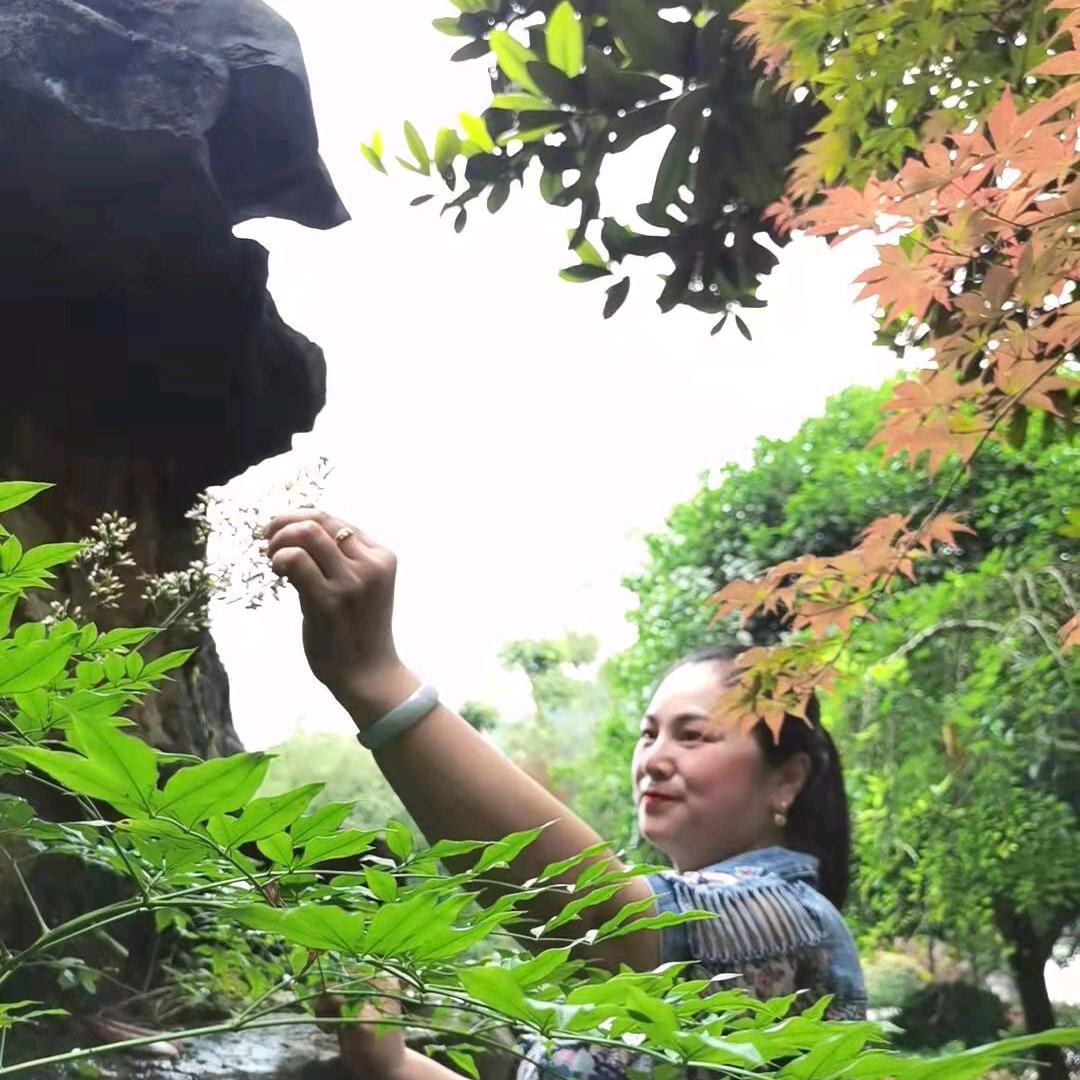胡群