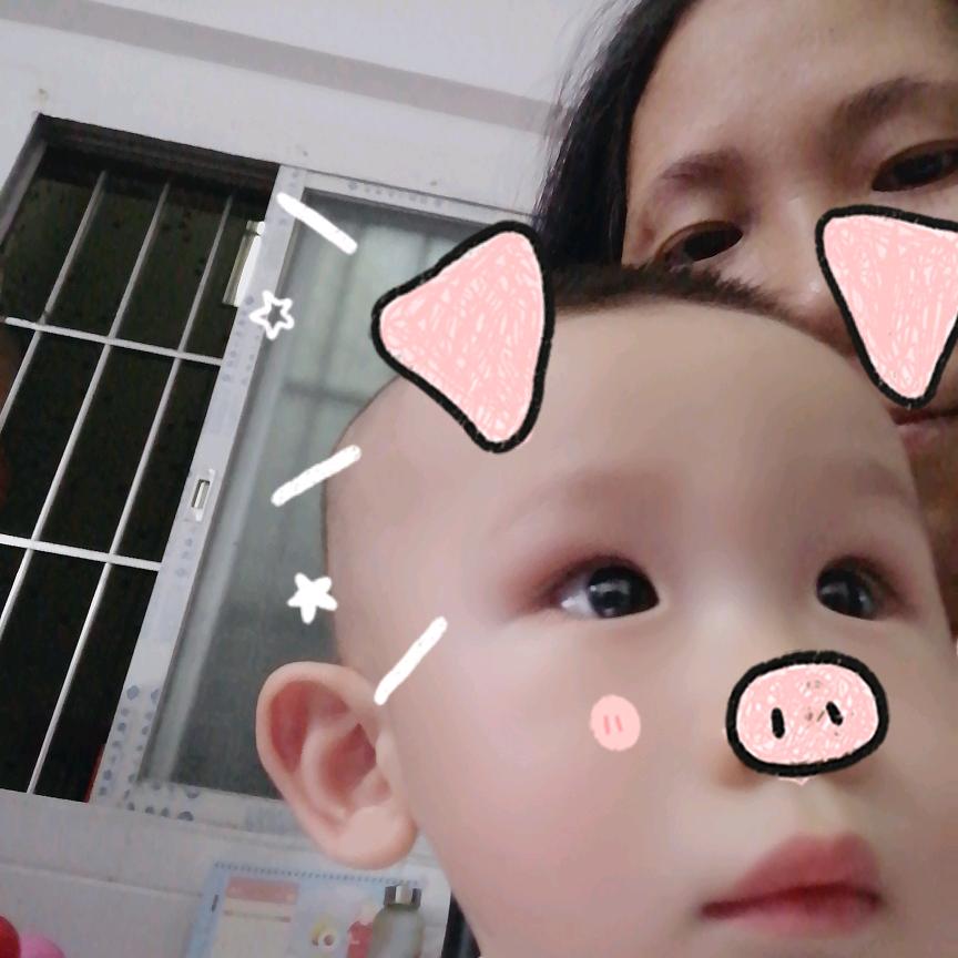 小猪🐷