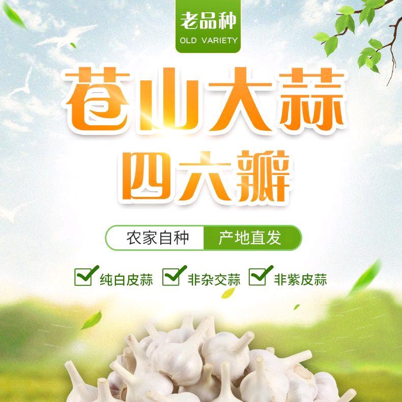 青合农田山东特产