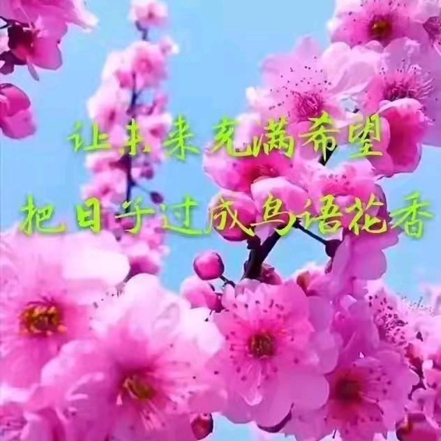 小甜甜