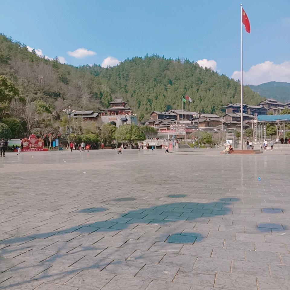 淡听细雨声