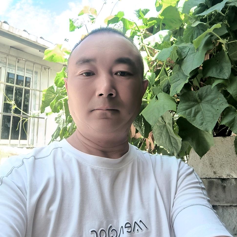 中国心