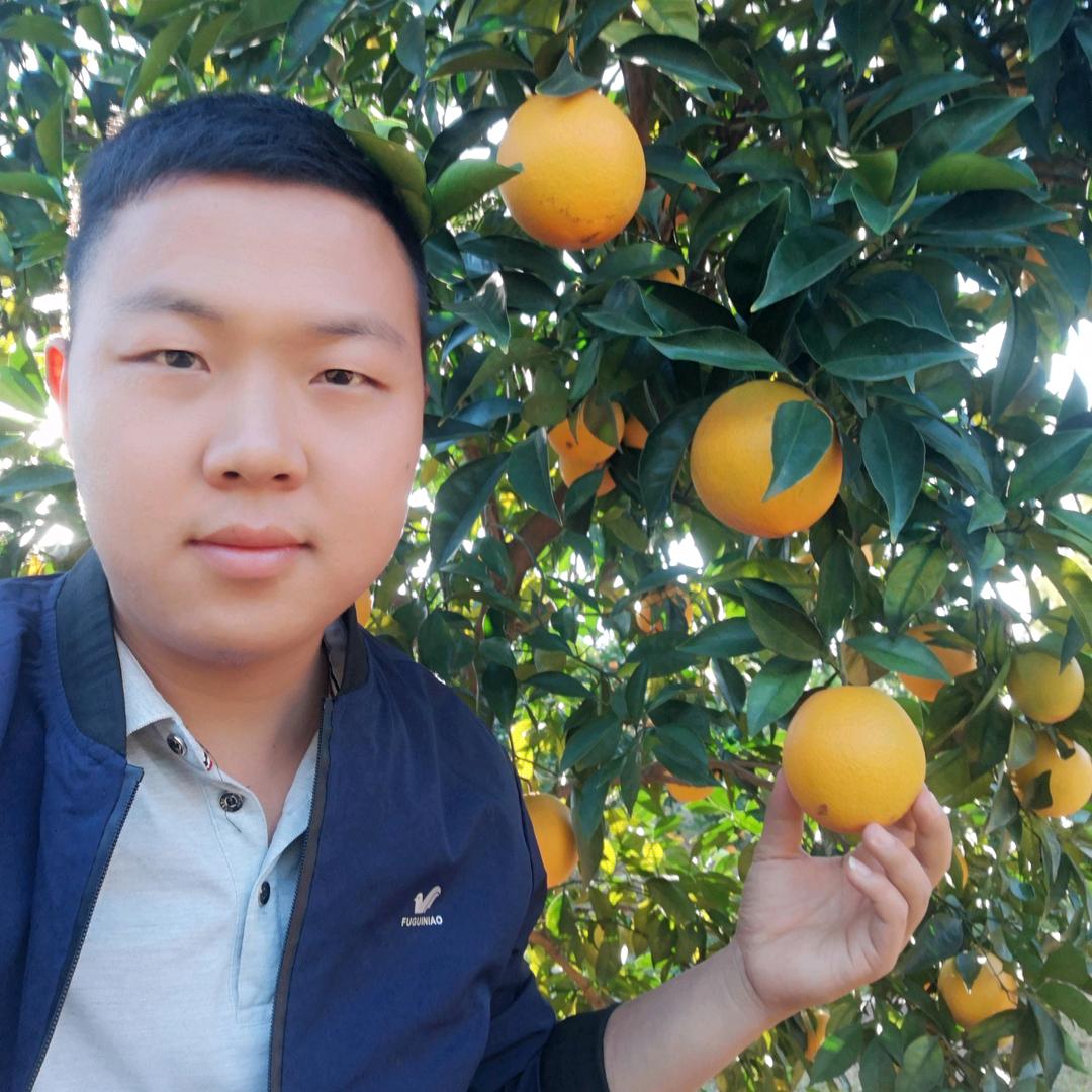 于都贡鲜森阿龙（应季水果）