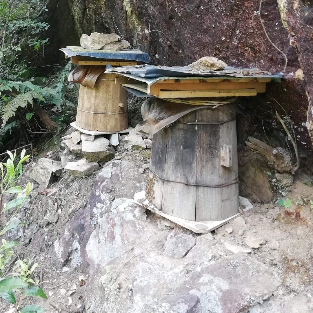 开化蜂友家庭农场