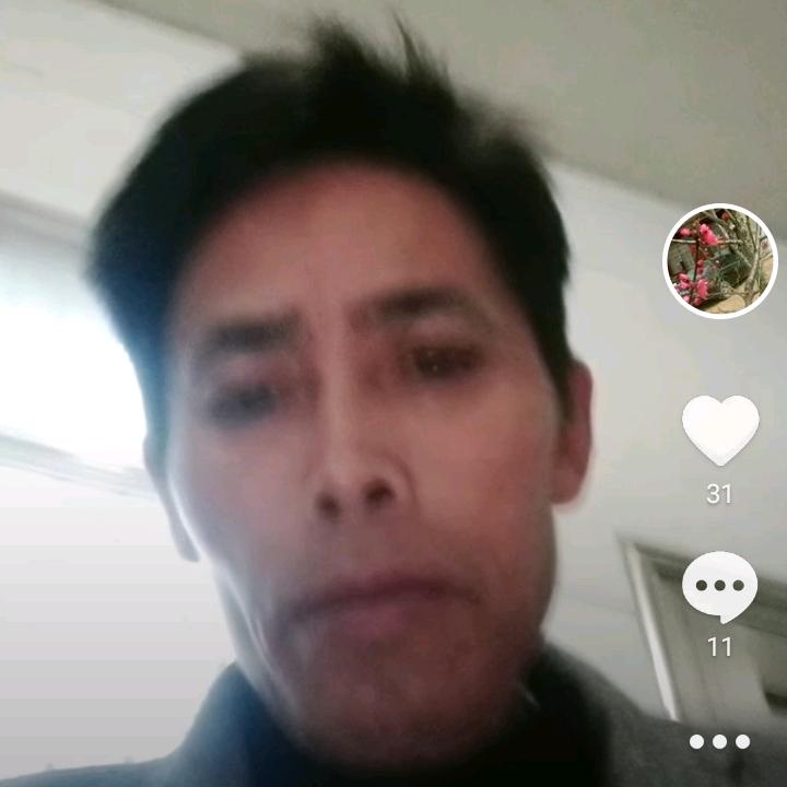 房子设计加装修