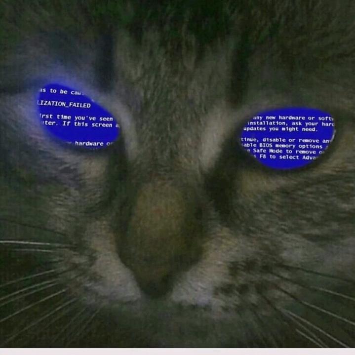 灰眼睛的俄耳甫斯
