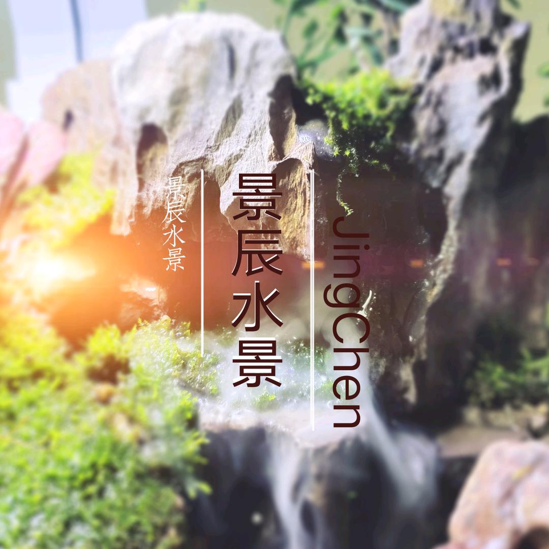 景辰水景
