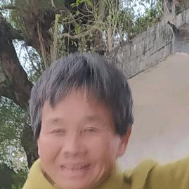庆梅