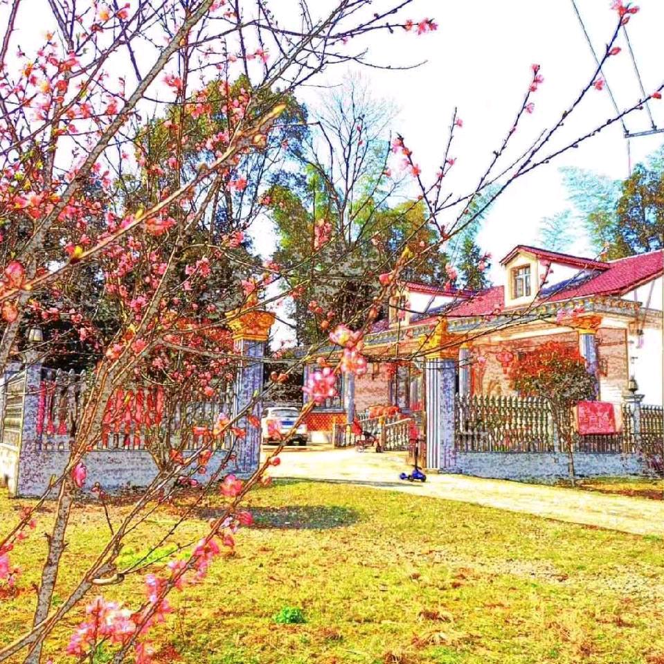 用户2651792537226华姐姐