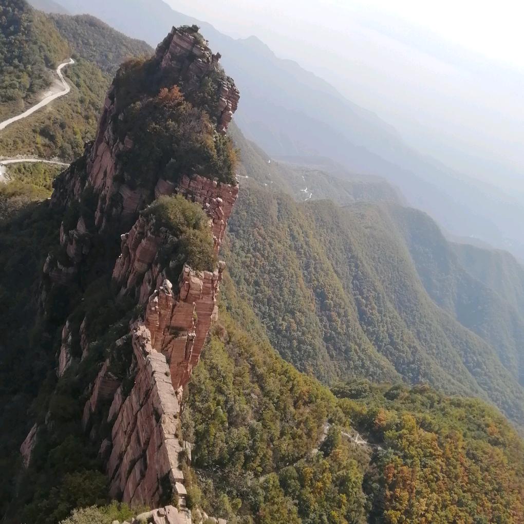 人在旅途樱子