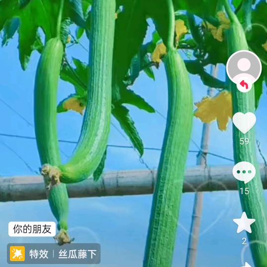不完美