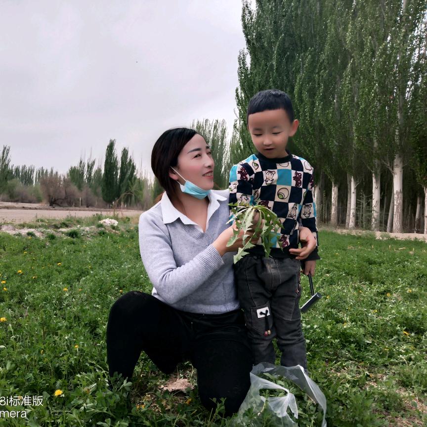 青藤花（橱窗有好物）