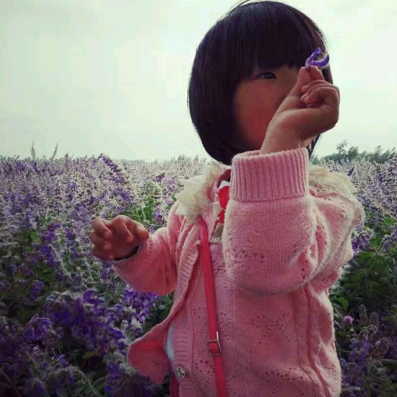 圩疃小号黄沙，石子，建筑材料，一条龙服务