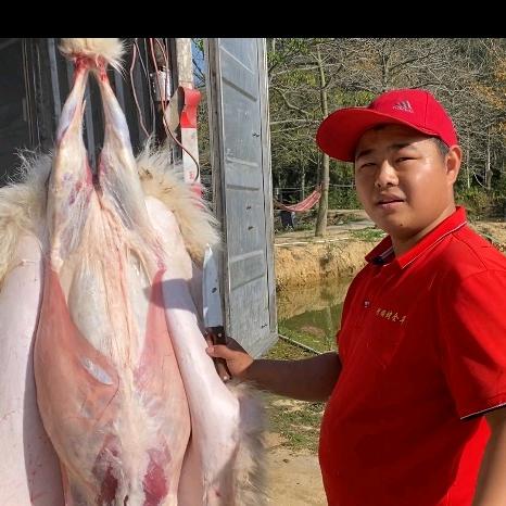 深圳阿顺烤全羊