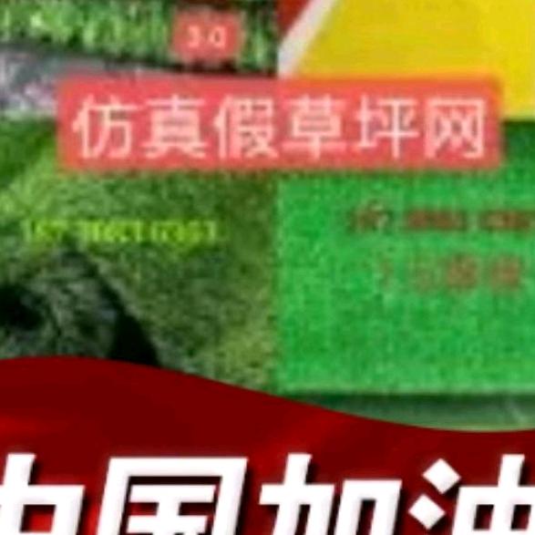 安平县旺图仿真草坪厂