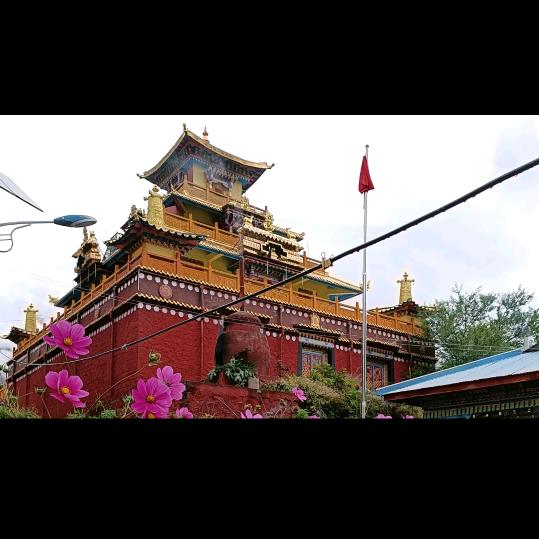 我是西藏的。