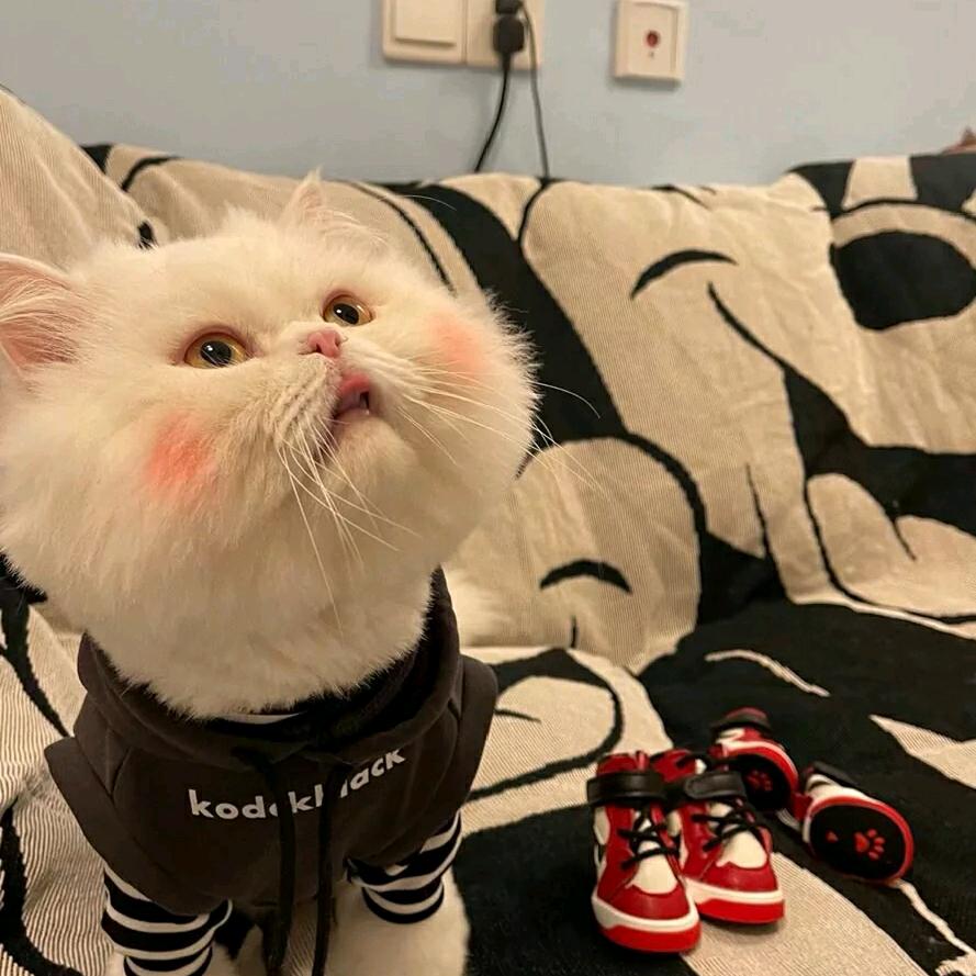 冒火的冰淇淋
