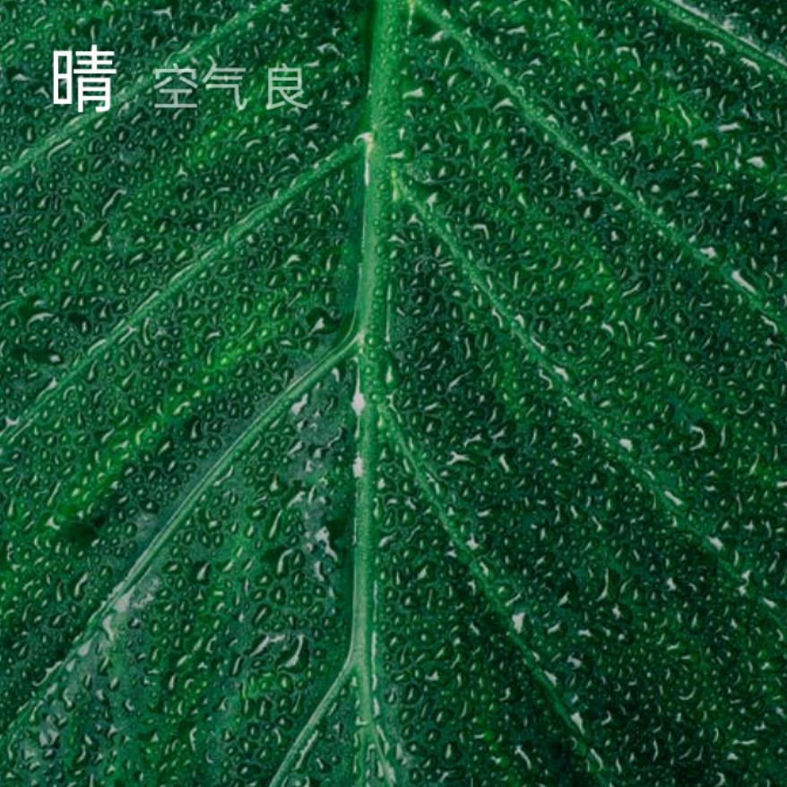 四季好运