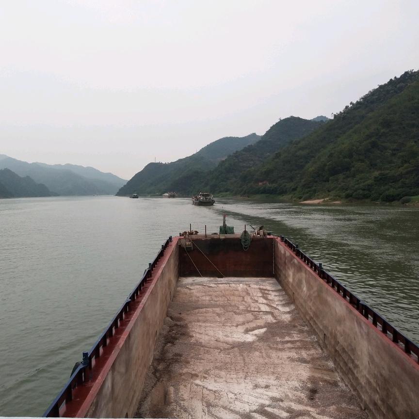 我若不勇敢，谁替我坚强