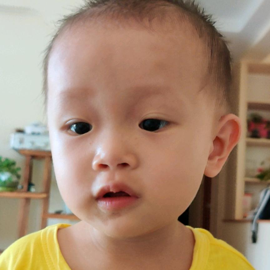北鼻熊
