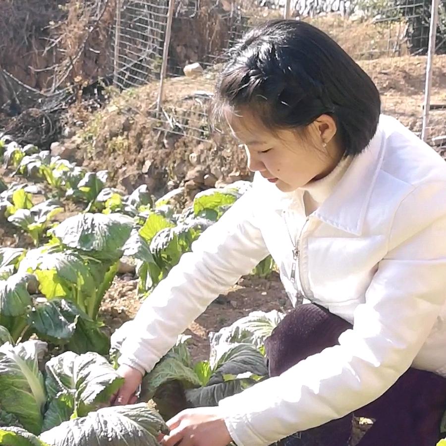 竹西施小薇水果蔬菜专卖店