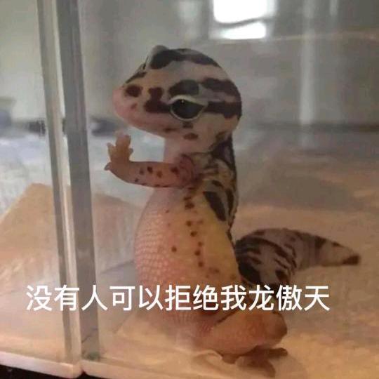 🌈老六