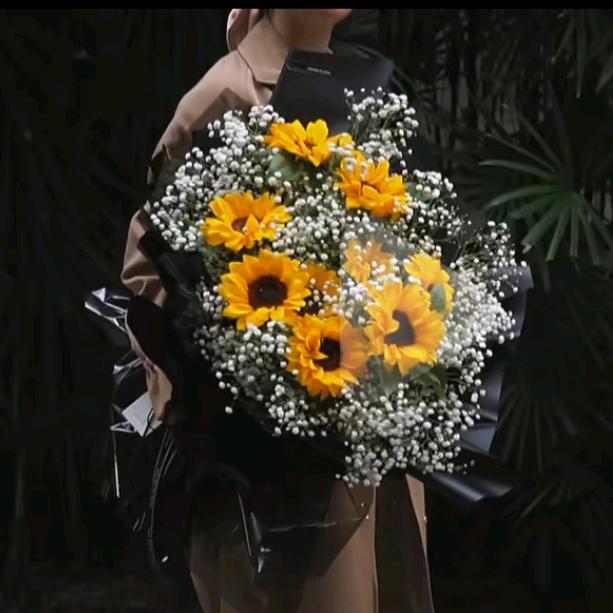 要么庸俗  要么孤独