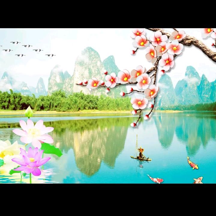 玉......🌸🌸🌸