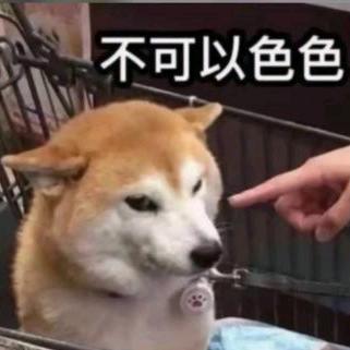 千盅酒难醉