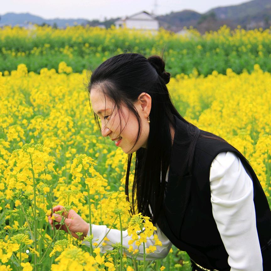 梦影