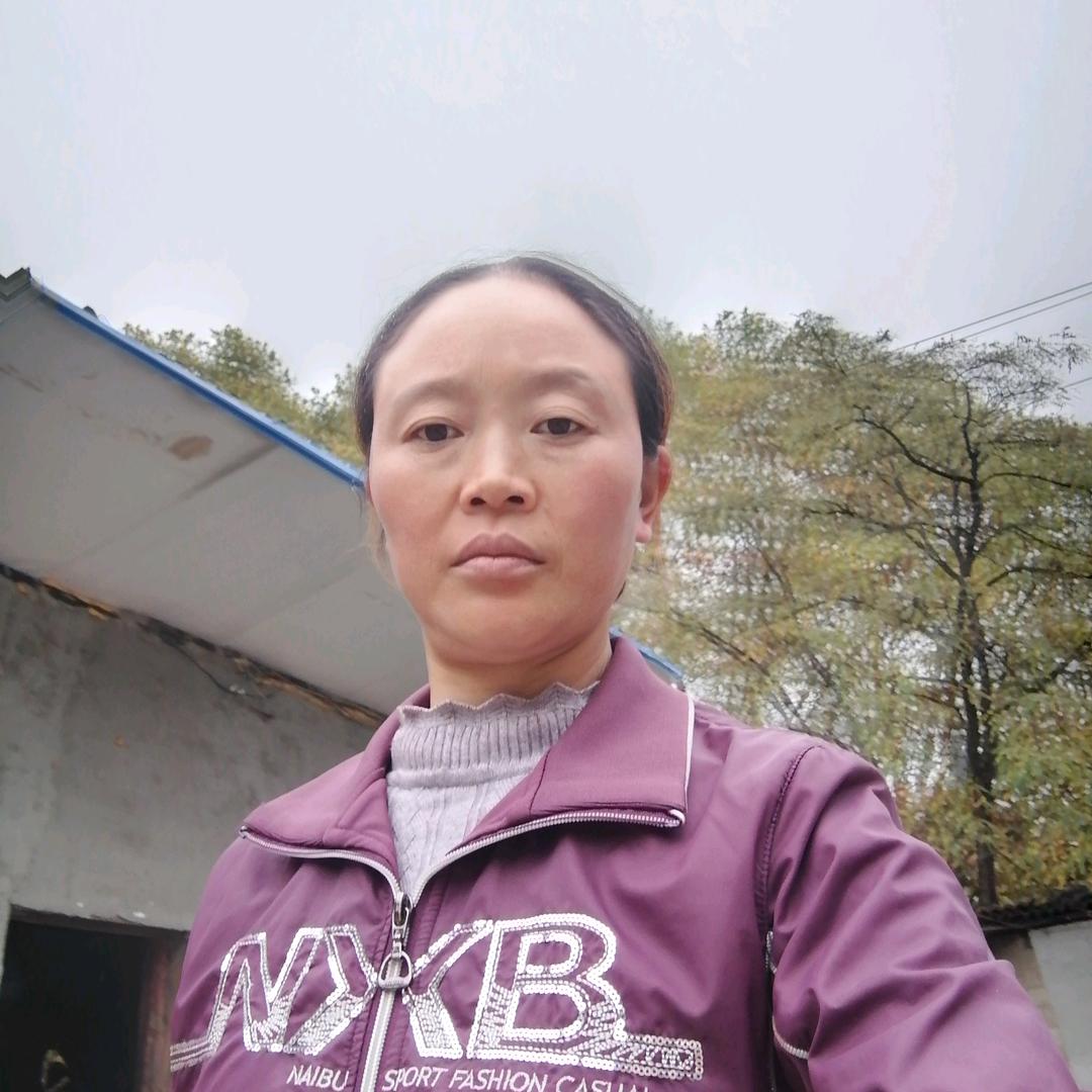 用户