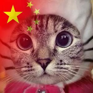 安丿允儿ᥫᩣ