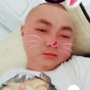 洪贝贝