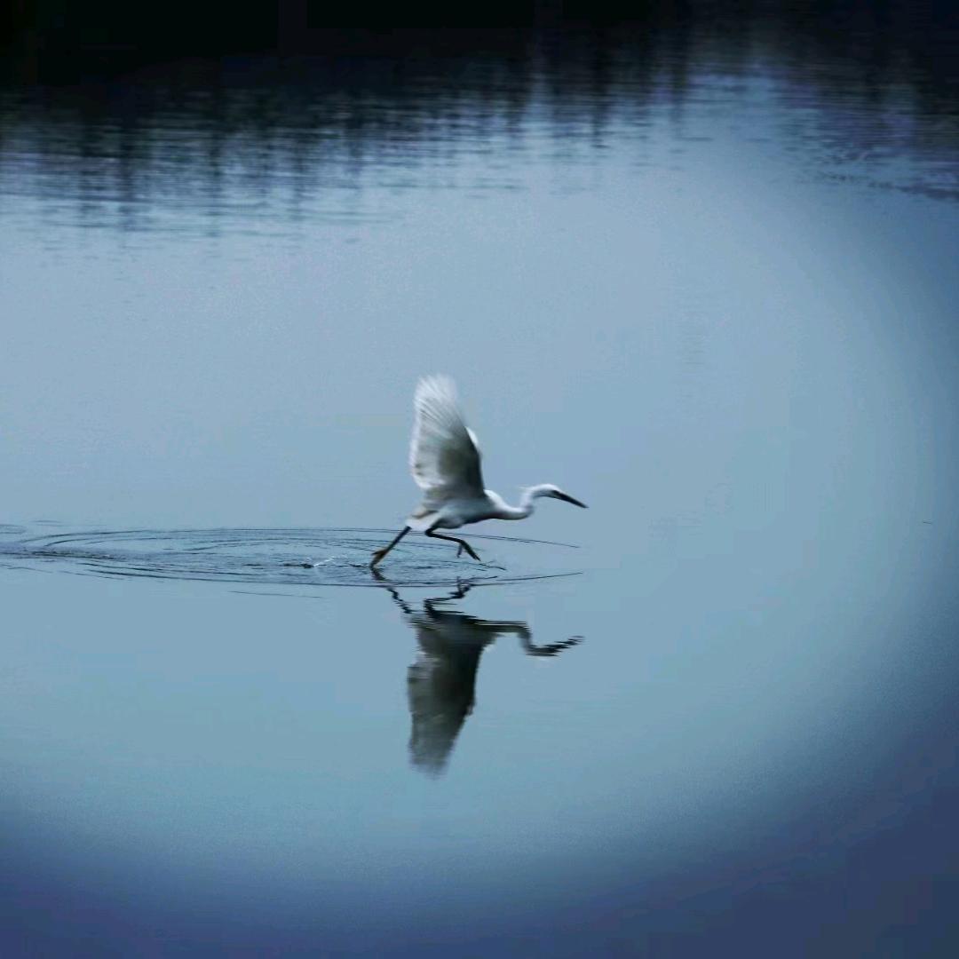神农📸🏊