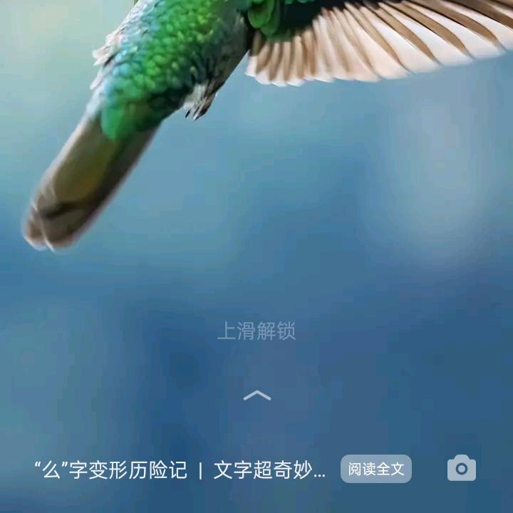 开心过好每一天