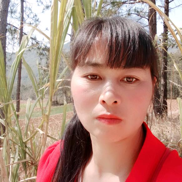春暧花开😄