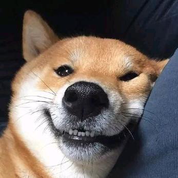 会飞的狼姐