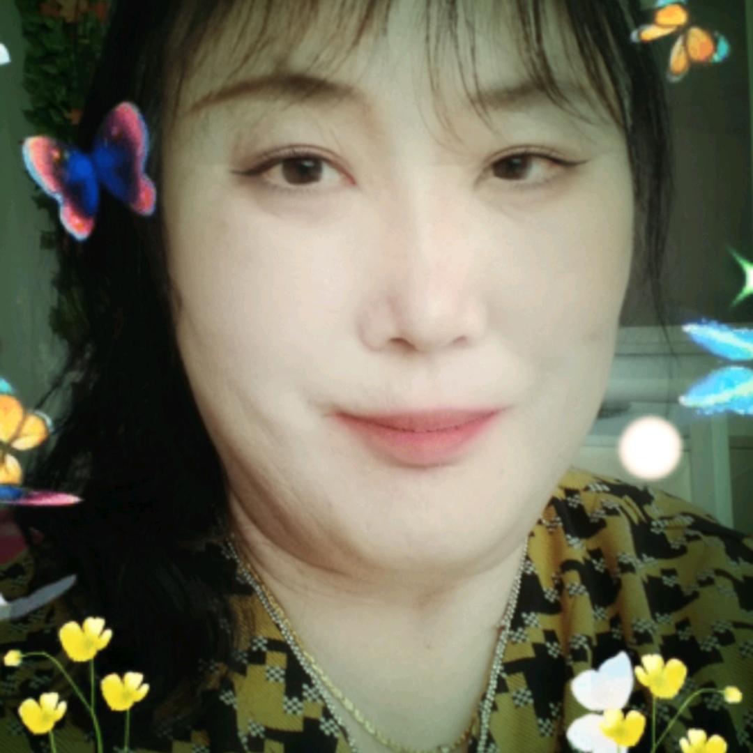 南来北往