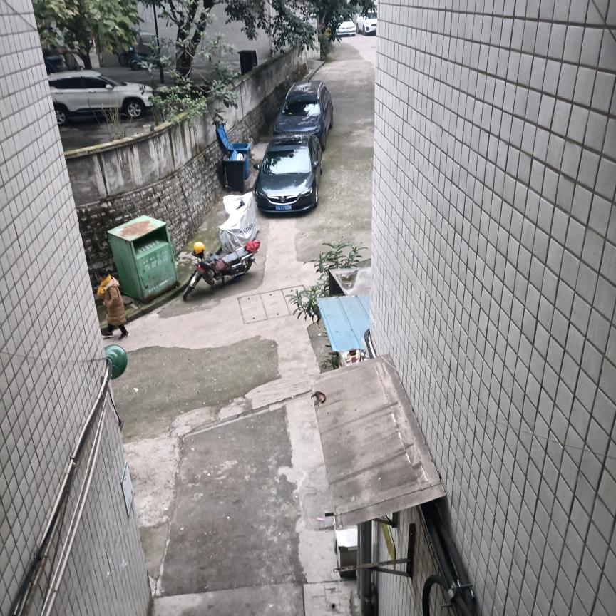 夜来香