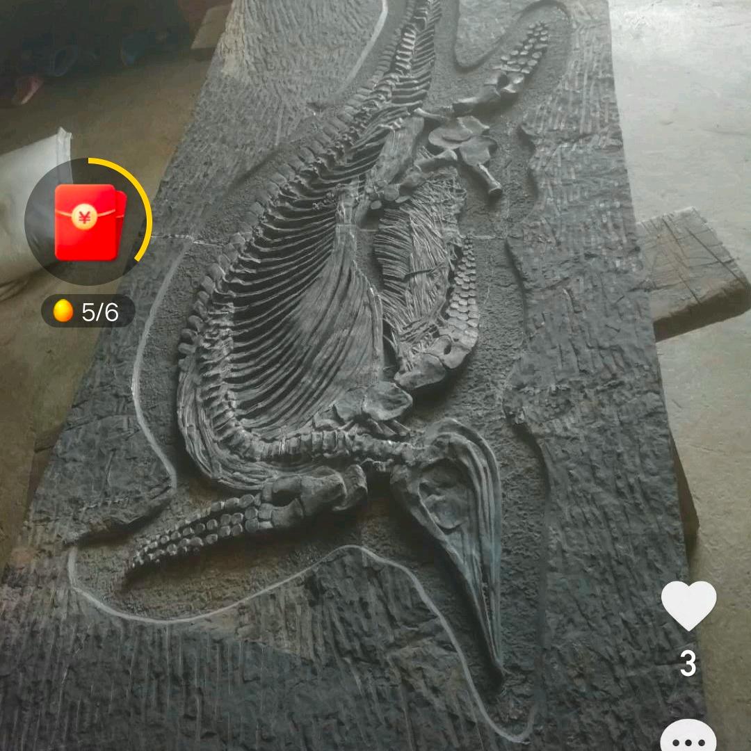 古生物化石之乡