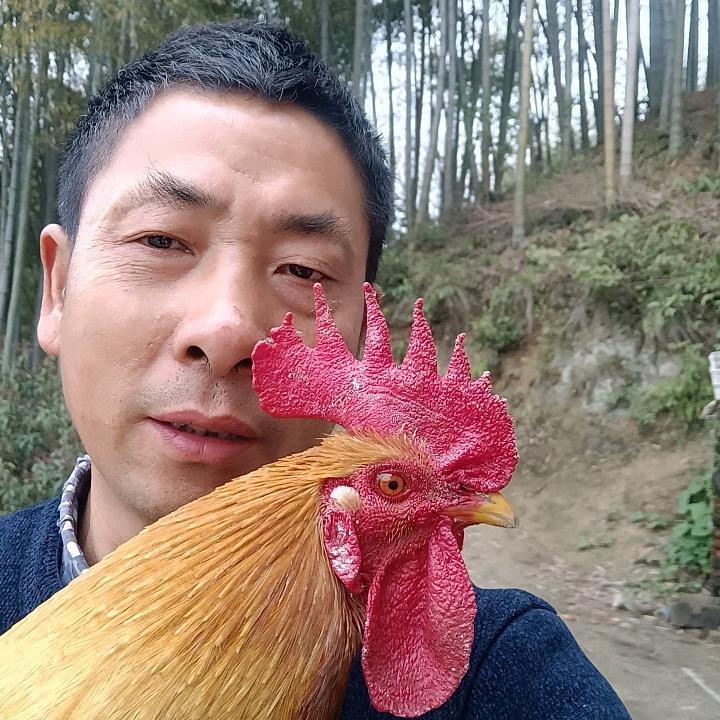 云竹百货商行