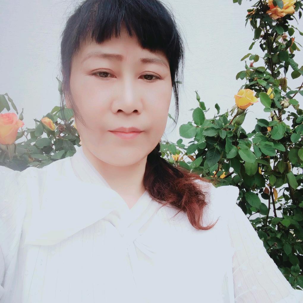 不老松