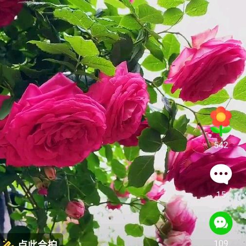 芳姐！