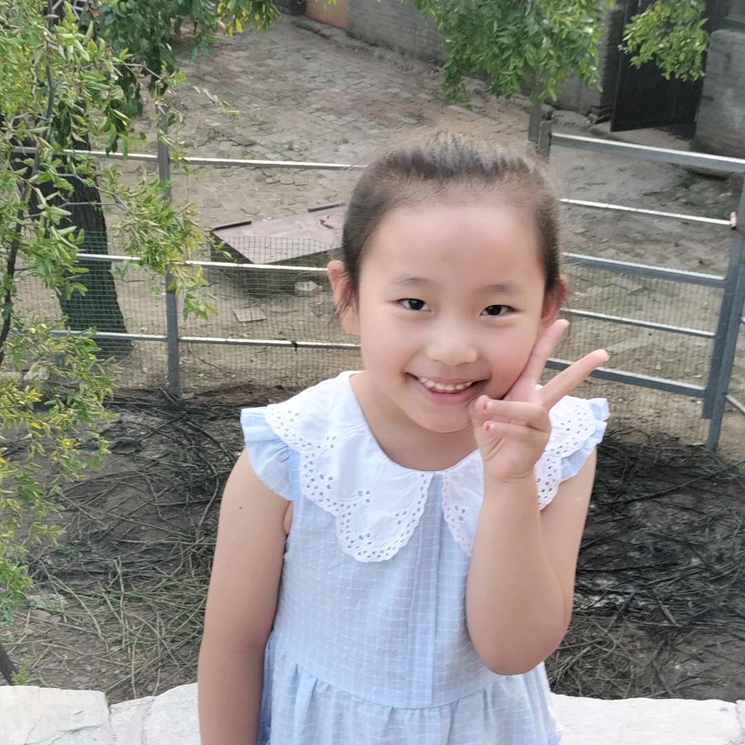 招财进宝🐤🐤🐤