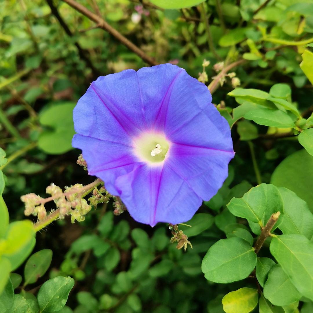 一生陪伴