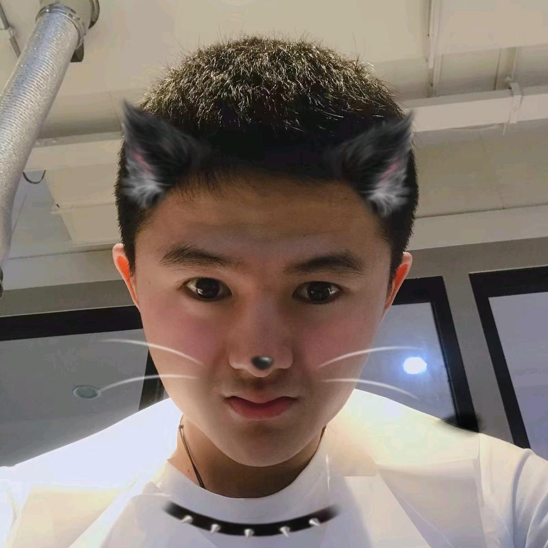 宋少帅