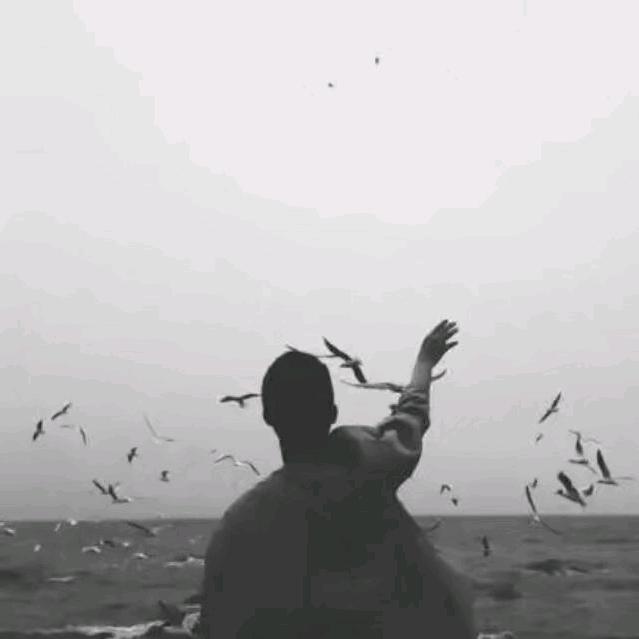 意难平-